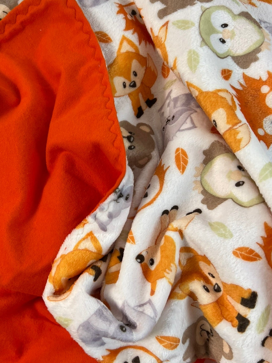 Cute Animal Minky with Soft Flannel Back