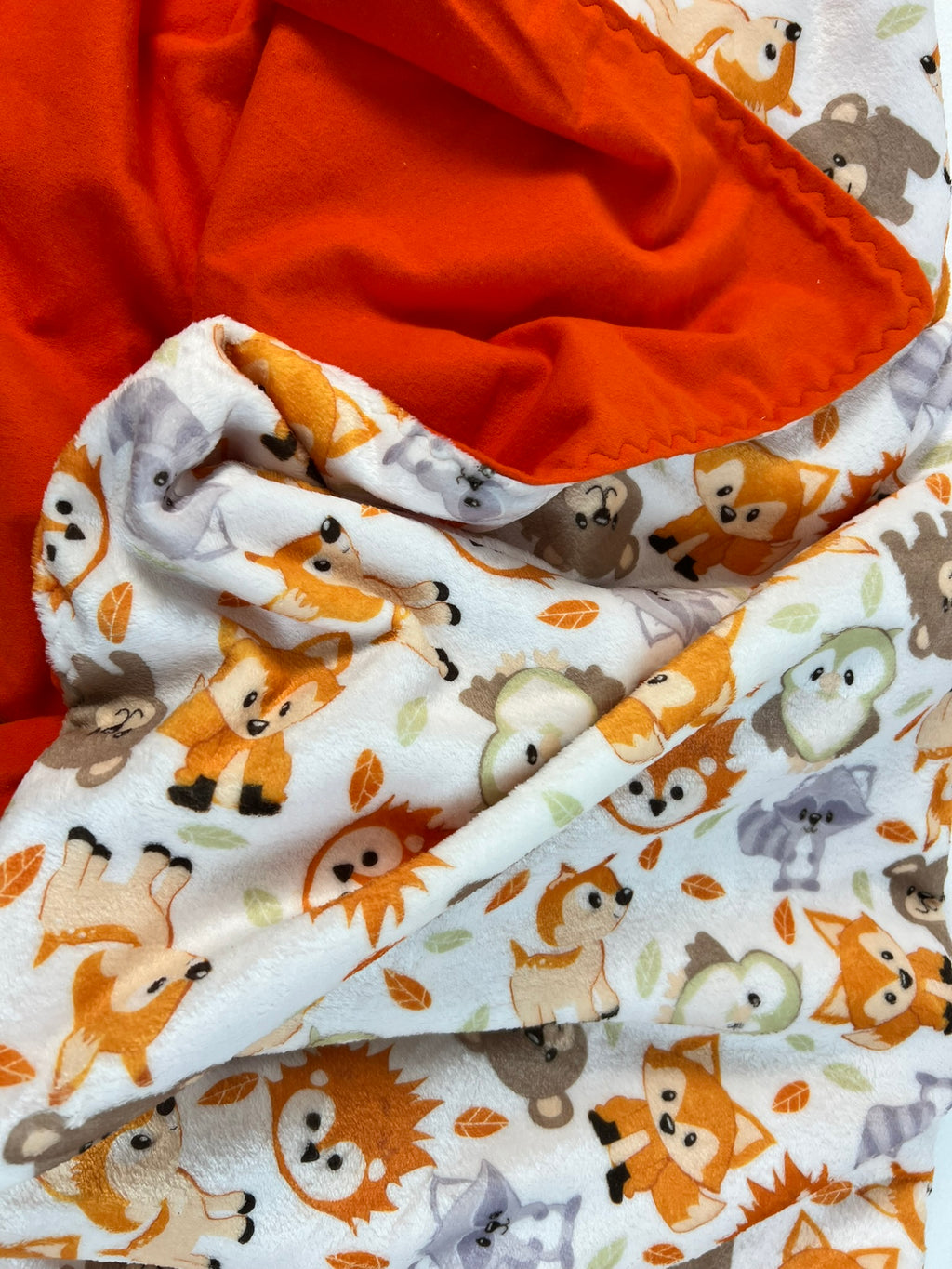 Cute Animal Minky with Soft Flannel Back